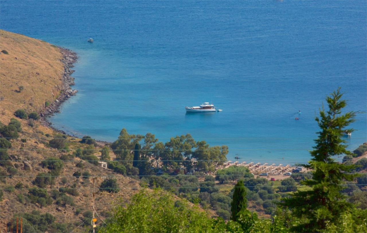 Aegina Colors *