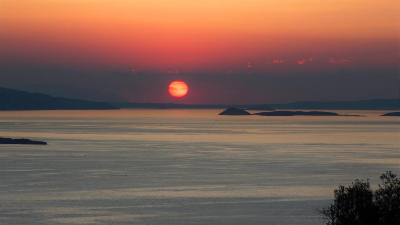Aegina Colors