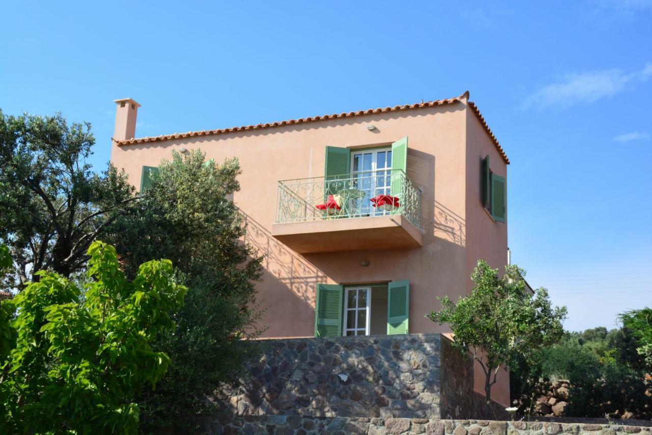 Villa Aegina Colors