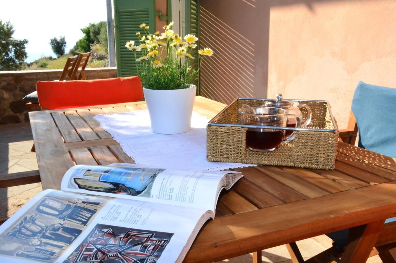 Aegina Colors Villa *
